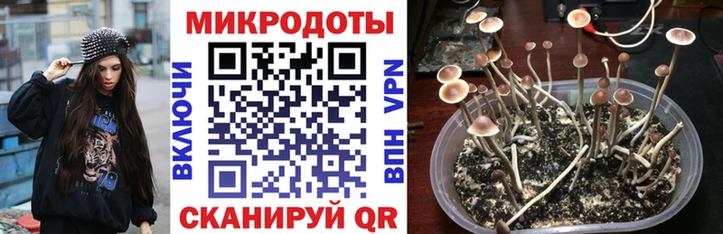 MEGA ссылки  Мичуринск  Псилоцибиновые грибы MAGIC MUSHROOMS 